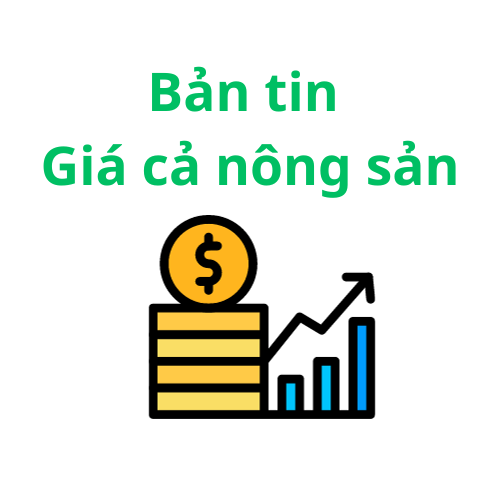 Giá các mặt hàng nông sản tại Vĩnh Long ngày 13/6/2025
